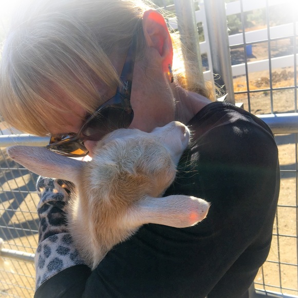 Meet your Posher, Patti - Picture 4 of 4